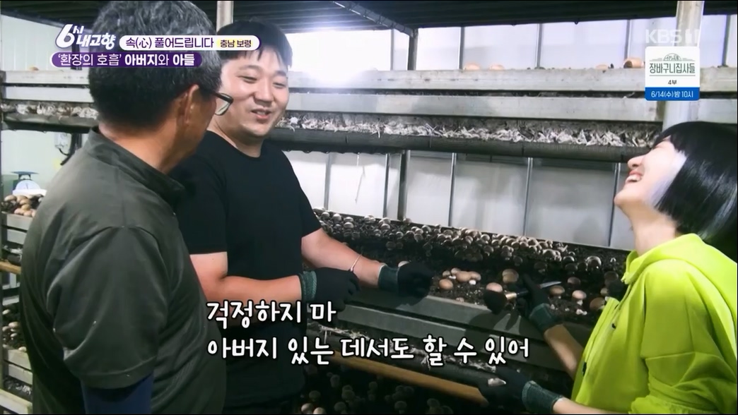 6시 내고향.E7806.230613p.H264-F1RST.mp4_20230614_205842.520.jpg