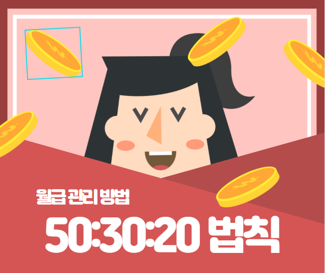 50:30:20 법칙