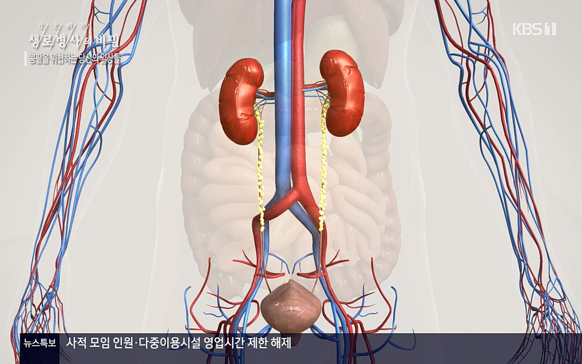 생로병사의 비밀.E819.220421p-NEXT.mp4_20220421_194724.242.jpg
