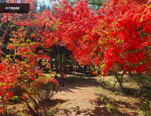 익산아가페정원