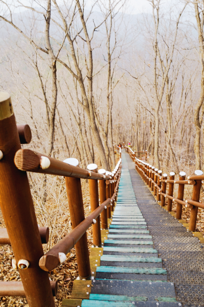 한국 명산 충남 청양 칠갑산 등산 mountain hiking