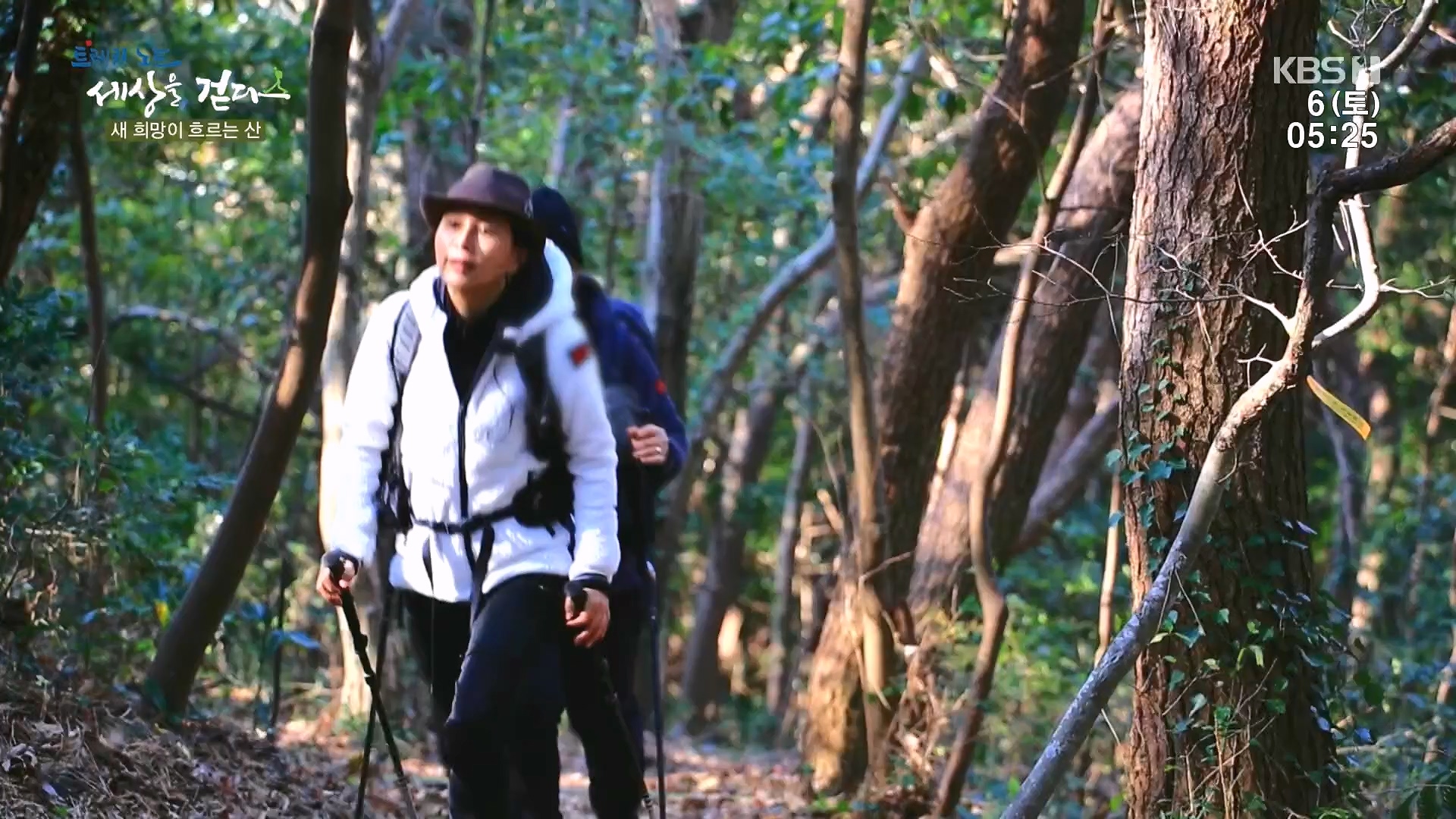 트레킹노트 세상을 걷다.E302.240106p.H264-F1RST.mp4_20240712_211020.308.jpg