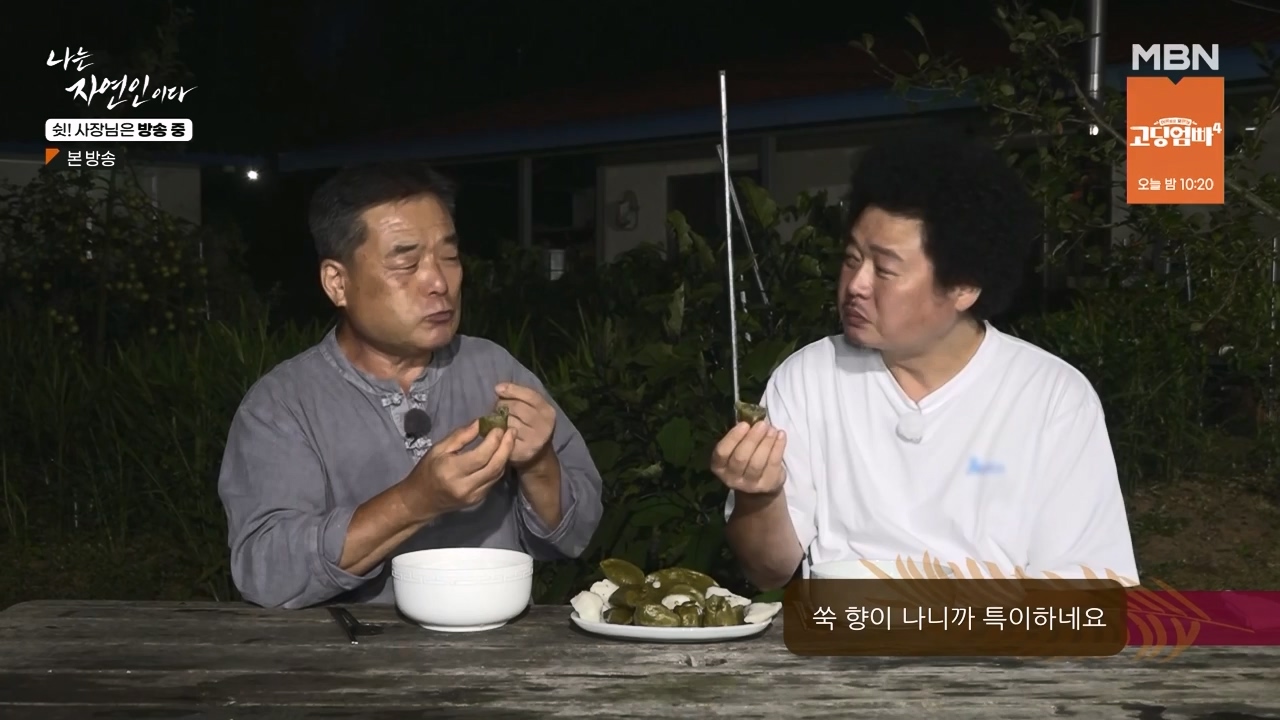 나는 자연인이다.E573.230928p-NEXT.mp4_20230929_174827.021.jpg