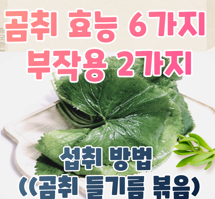 곰취 효능 6가지와 부작용 그리고 섭취 방법 (곰취 나물 무침) 곰취 효능 6가지와 부작용 그리고 섭취 방법 (곰취 나물 무침)