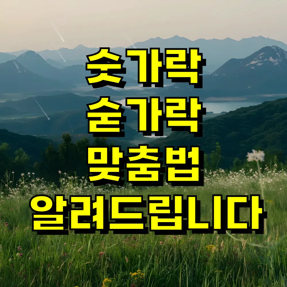 숫가락 숟가락 맞춤법 알려드립니다