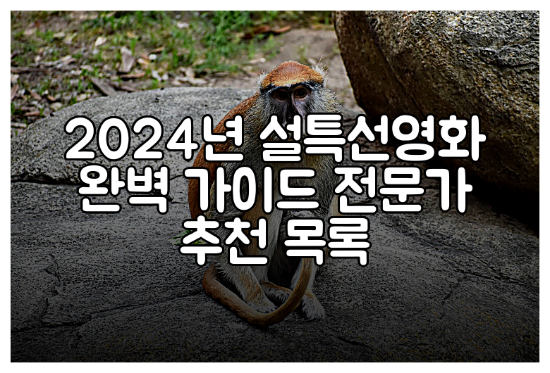 2024년 설특선영화 완벽 가이드 전문가 추천 목록