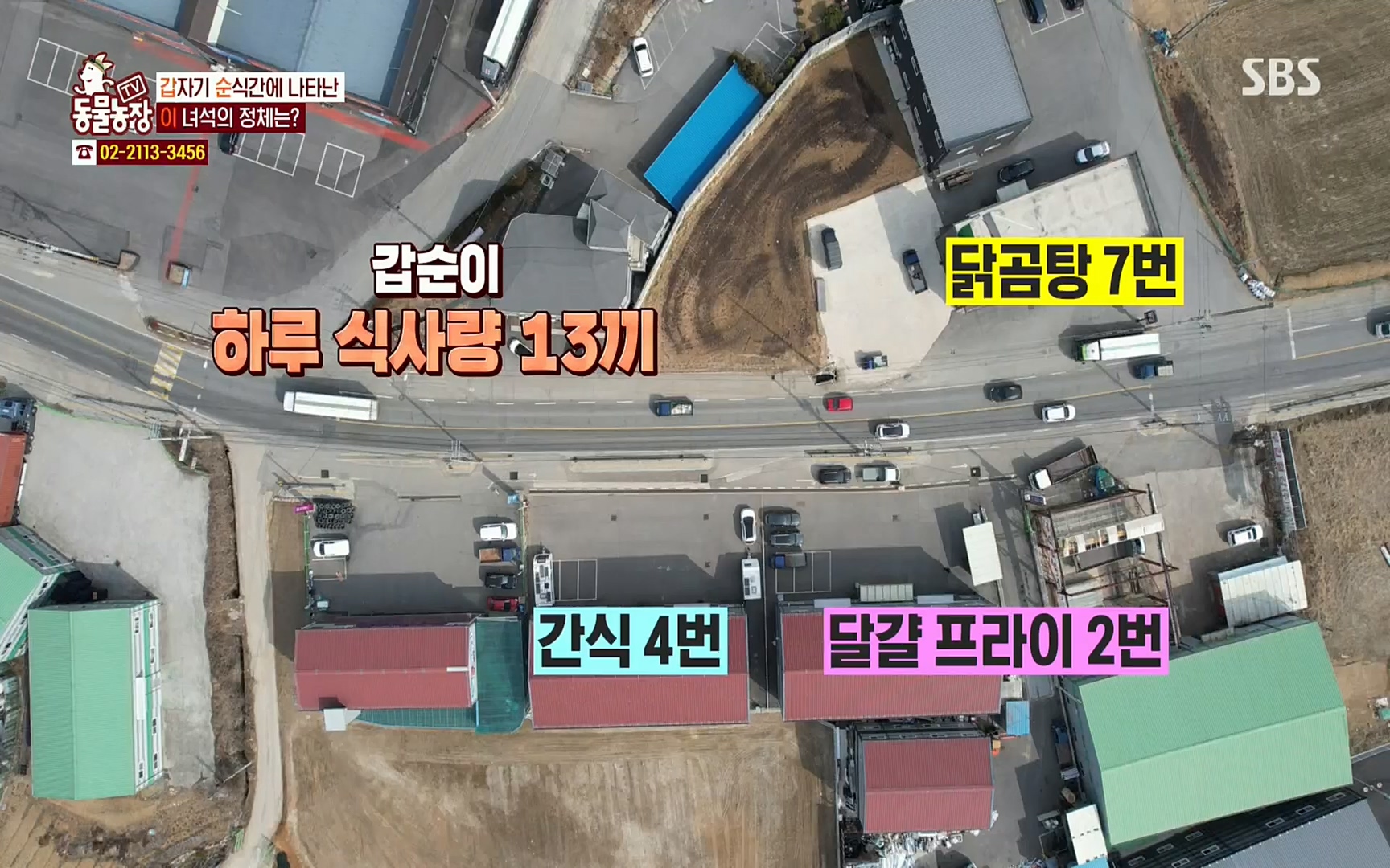TV 동물농장.E1064.220410p.H264-F1RST.mp4_20220410_184957.728.jpg