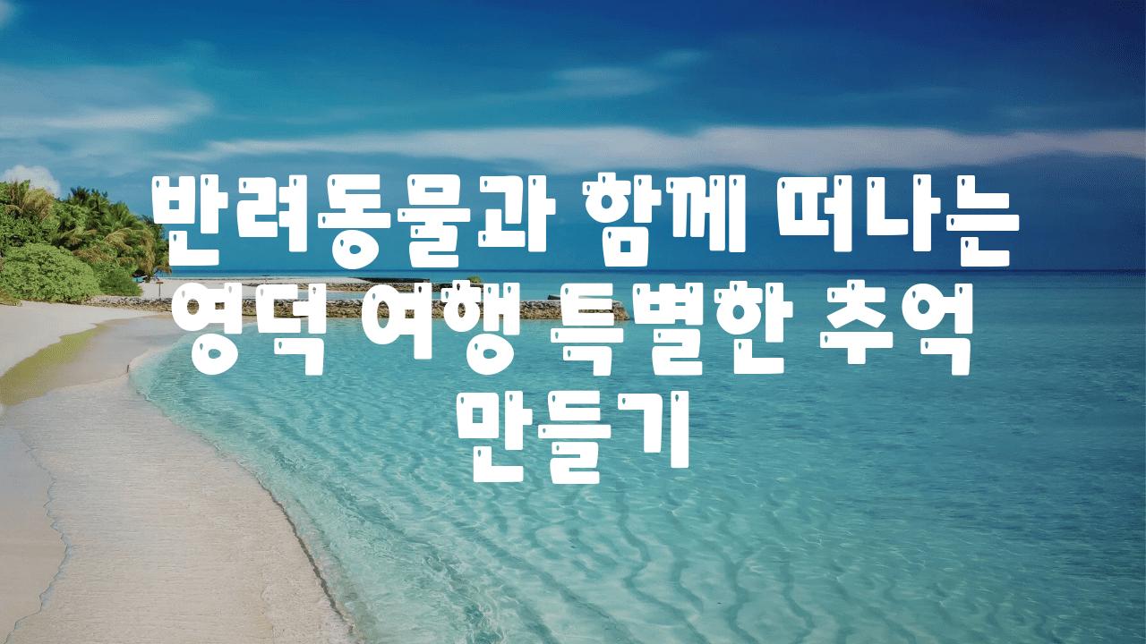  반려동물과 함께 떠나는 영덕 여행 특별한 추억 만들기