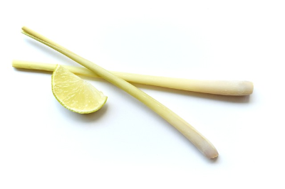 향신료 레몬그라스의 특징과 효능&#44; 향과 맛&#44; 활용 방법 알아보기