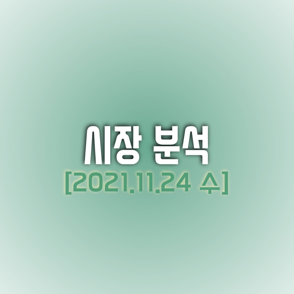  금일(11/24) 주식 시장 분석
