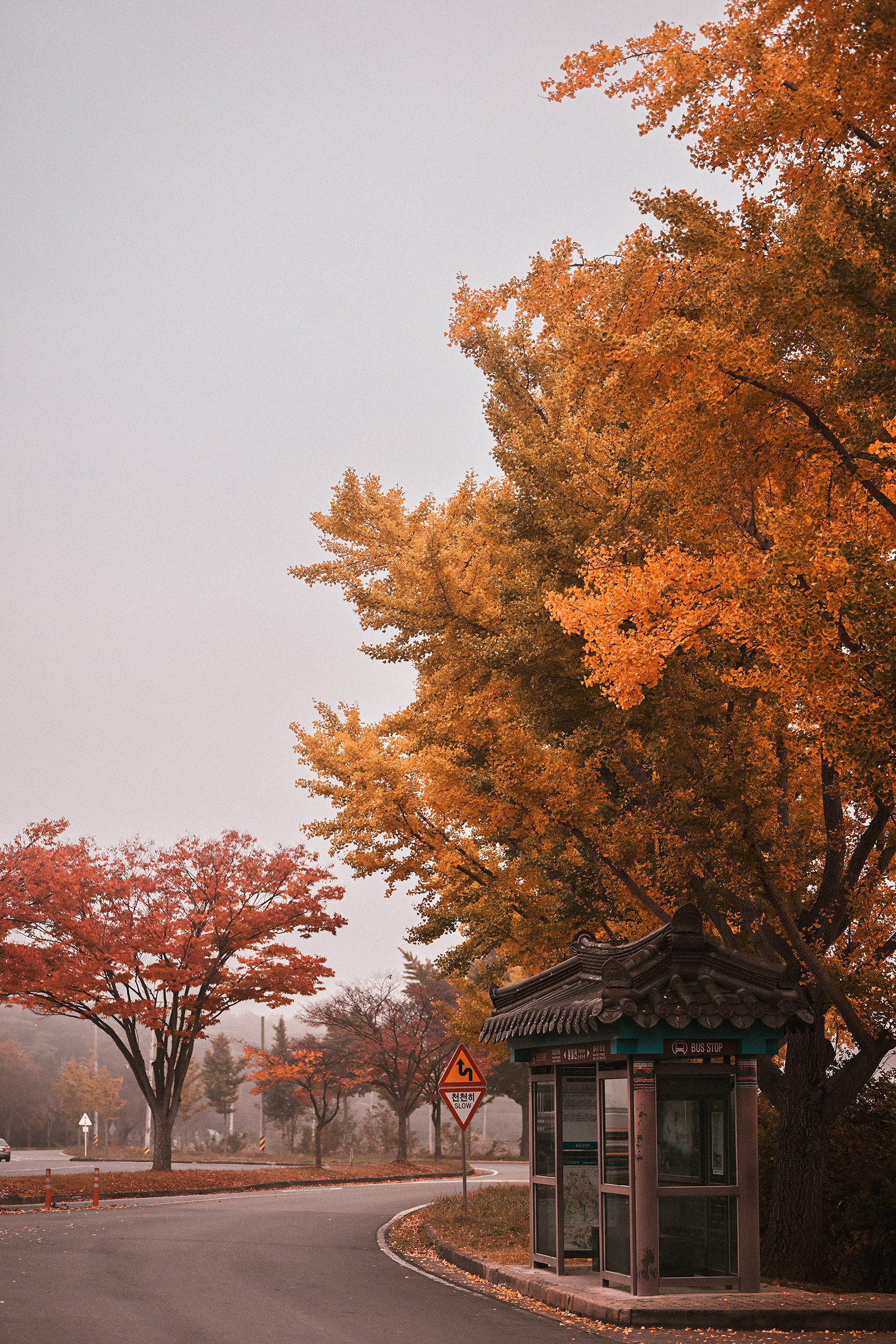 경주의 가을 아침_#4