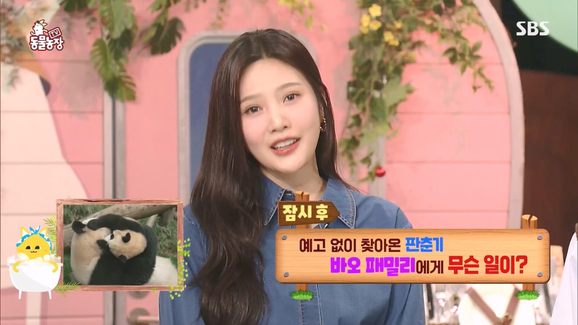 TV 동물농장.E1160.240225p.H264-F1RST.mp4_20240225_165118.484.jpg