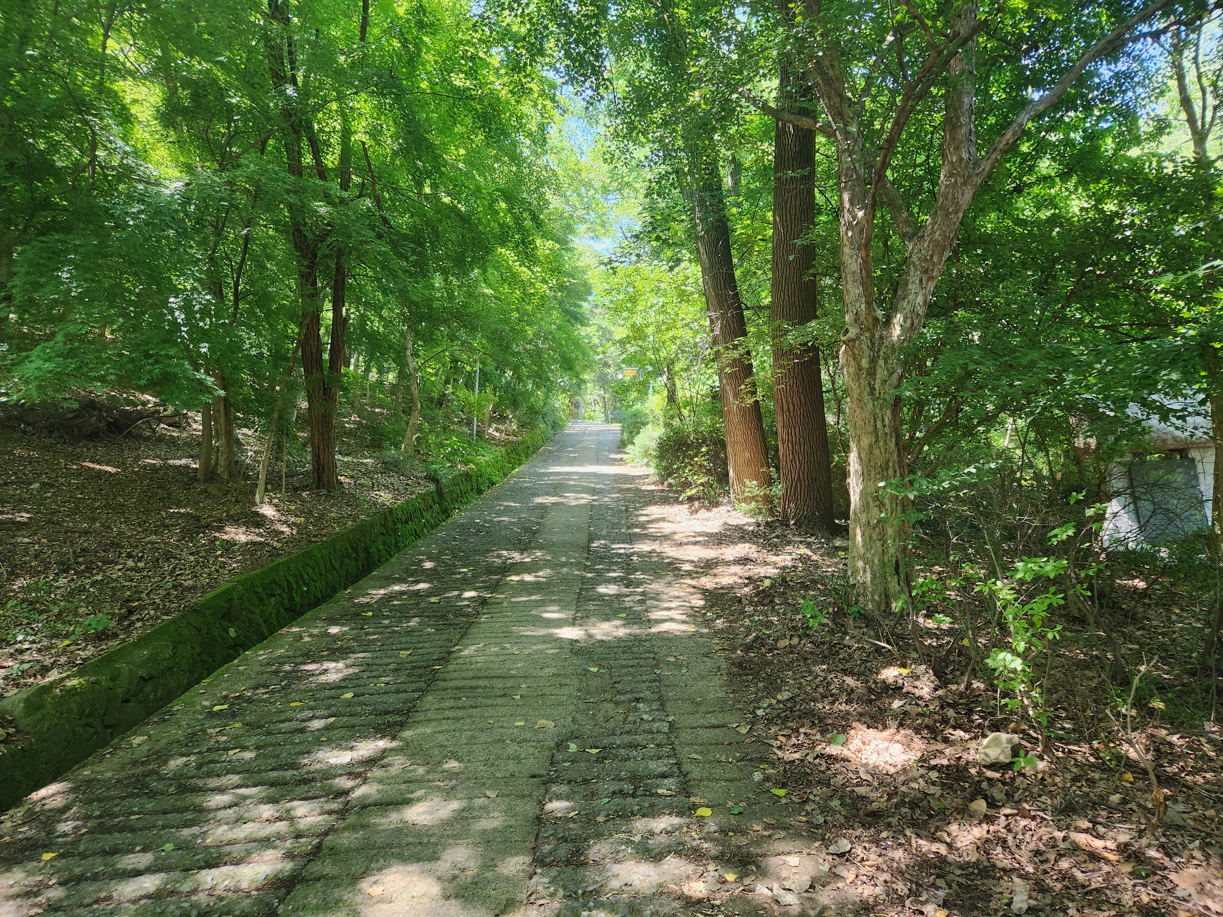 산성산 (11)