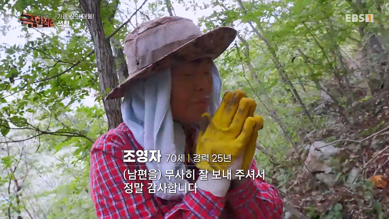 TV - 전 국민의 평생학교 EBS가을 산의 대물! 석청과 버섯.mp4_20230916_171653.882.jpg