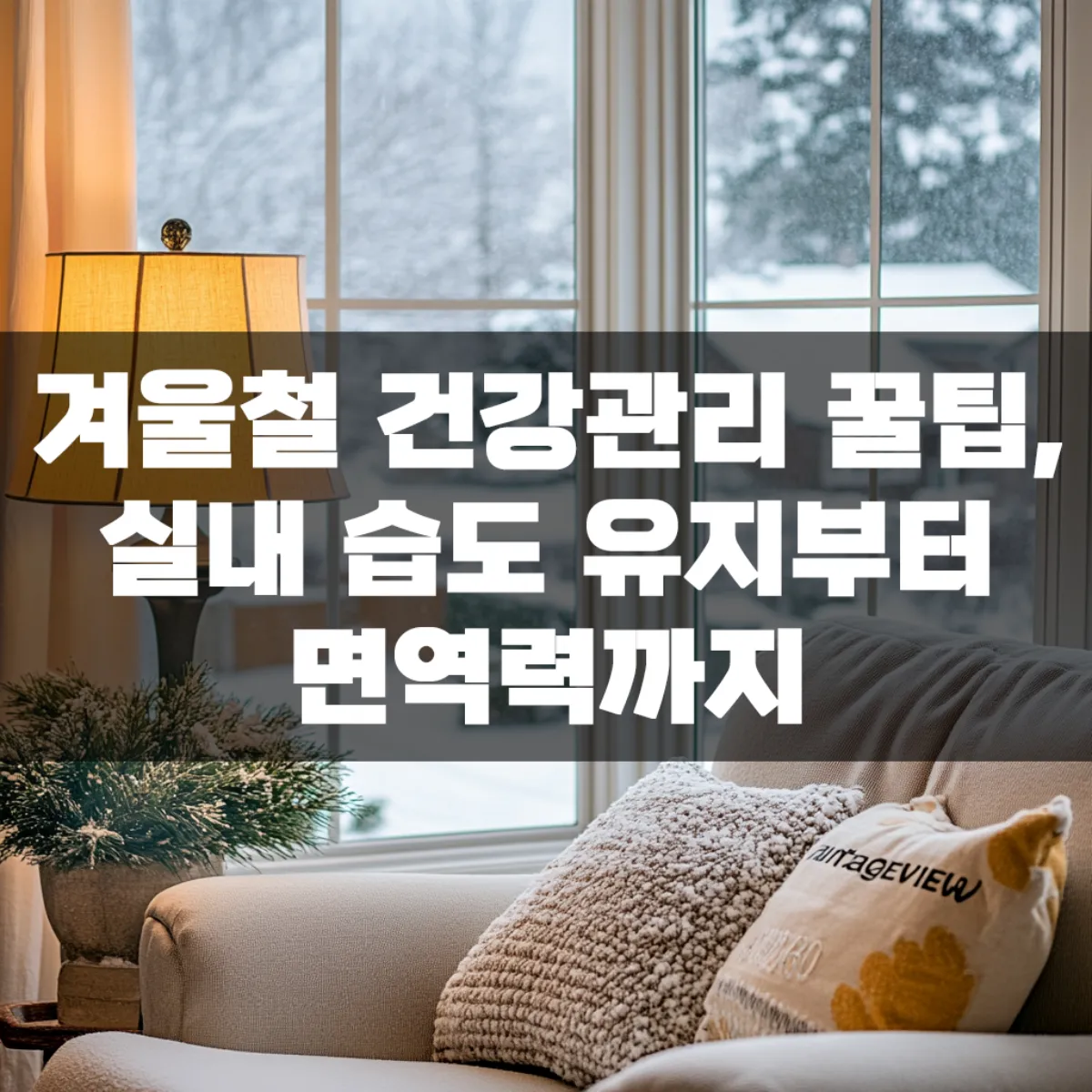 겨울철 건강관리 꿀팁, 실내 습도 유지부터 면역력까지