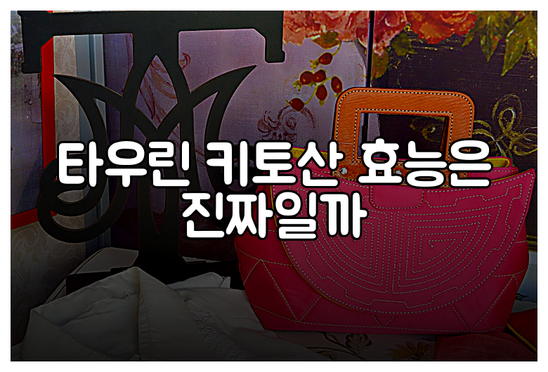타우린 키토산 효능은 진짜일까