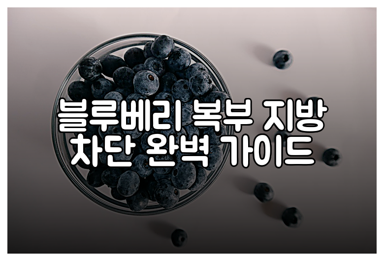 블루베리 복부 지방 차단 완벽 가이드