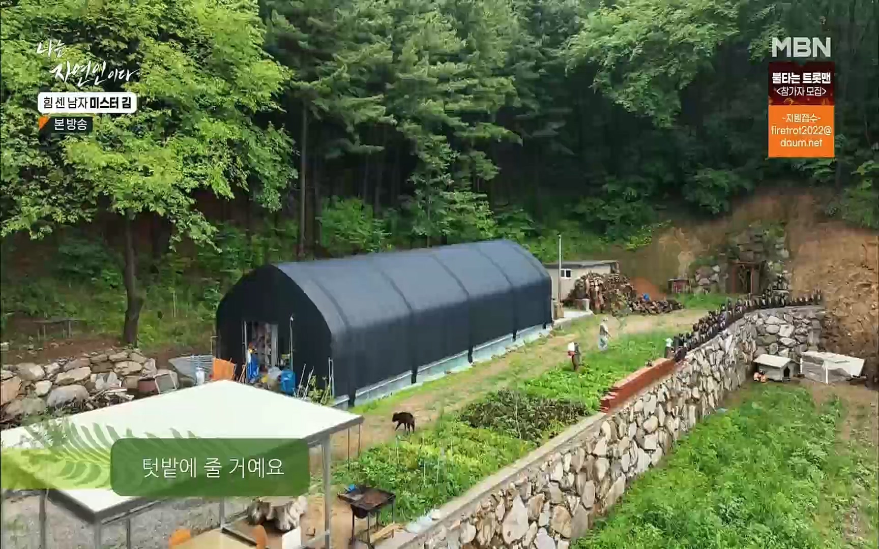 나는 자연인이다.E510.220713p.H264-F1RST.mp4_20220714_180712.000.jpg