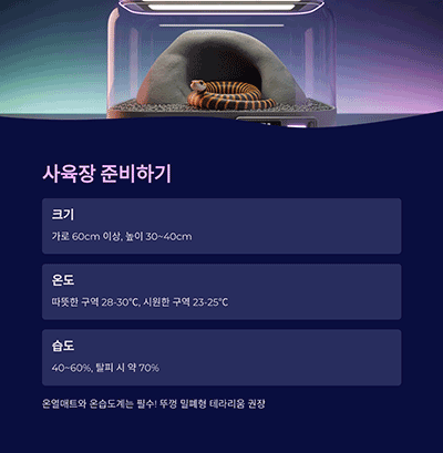 사육장 준비 – 작지만 기본은 철저히