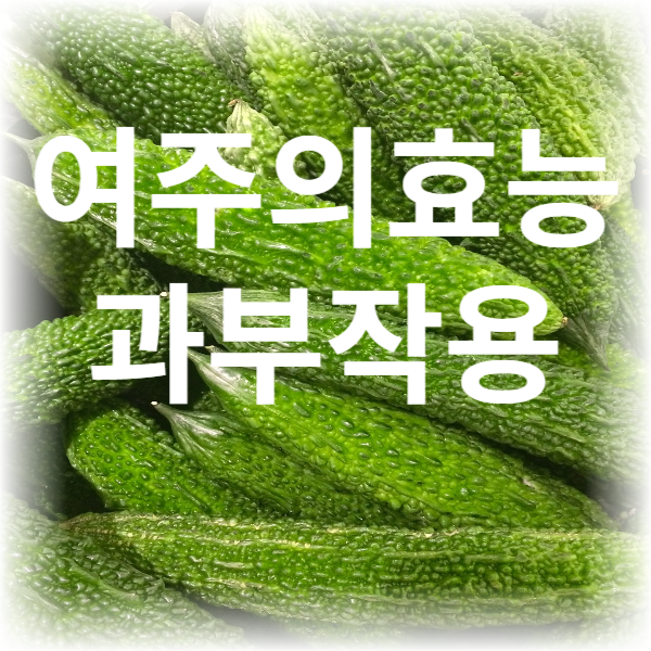 여주의효능과 부작용 썸네일