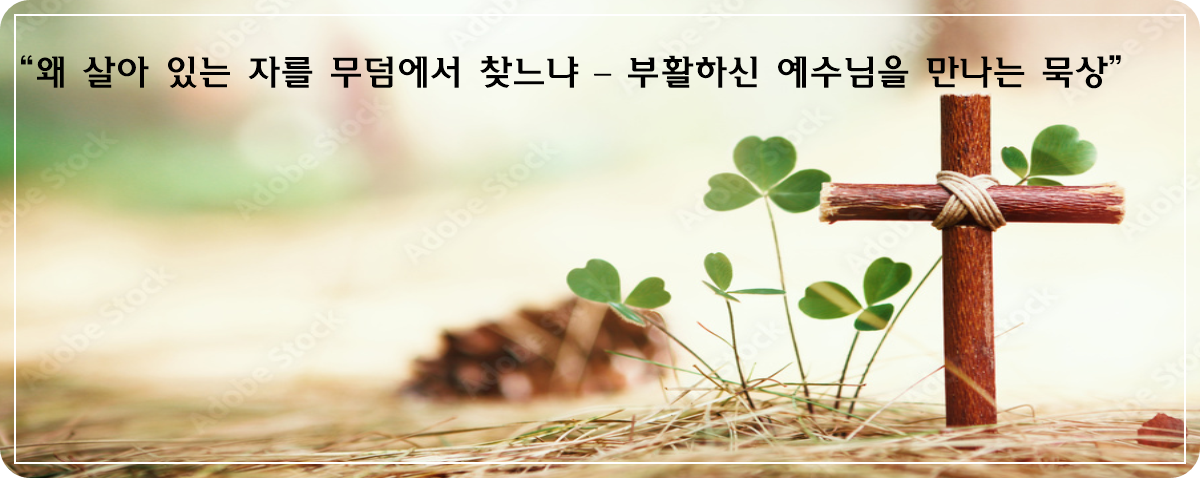 “왜 살아 있는 자를 무덤에서 찾느냐 – 부활하신 예수님을 만나는 묵상”