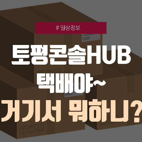  토평콘솔HUB, 택배야 언제 올거니? (SM입고, 행낭포장, 간선상차)
