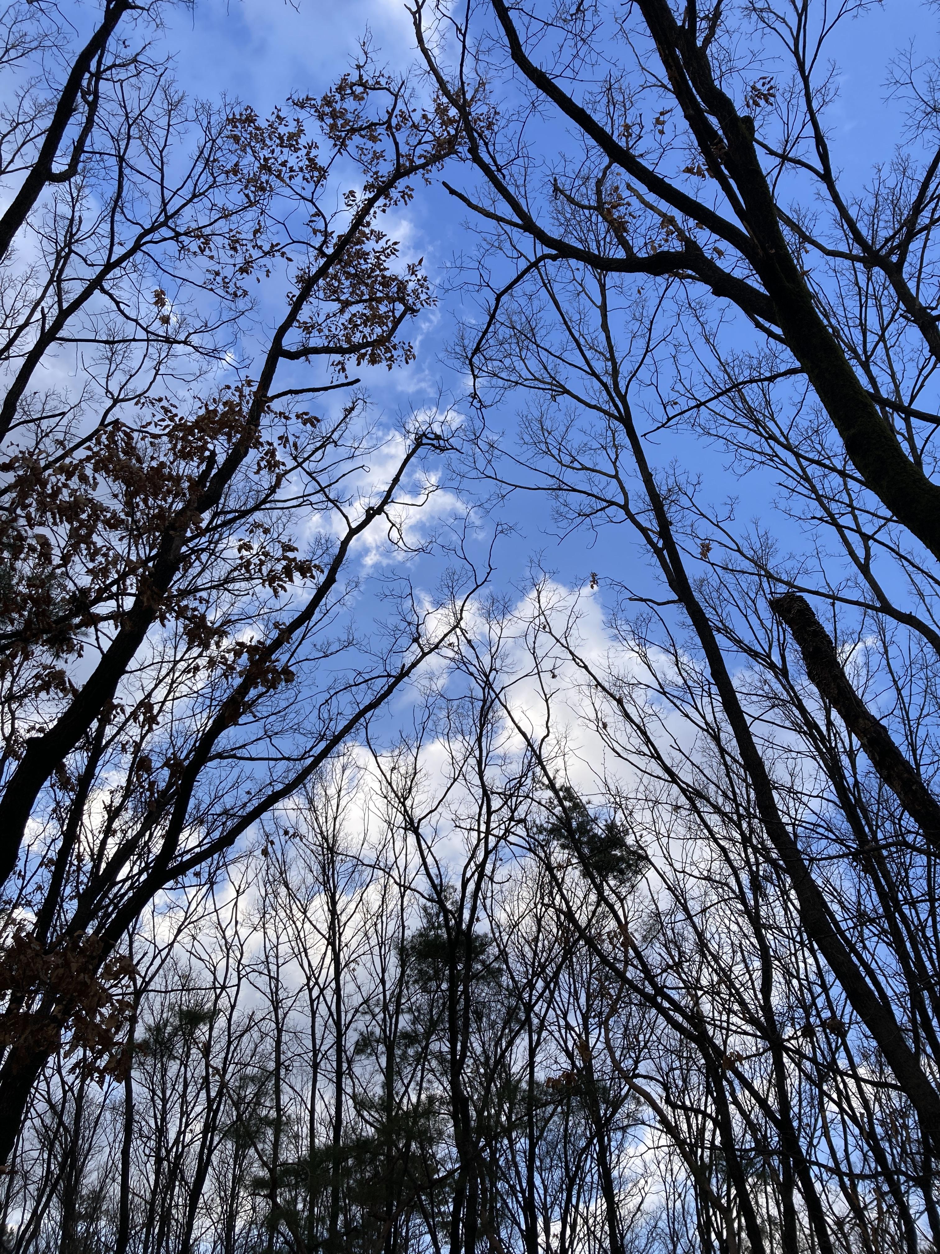 시원하고 바삭바삭 1