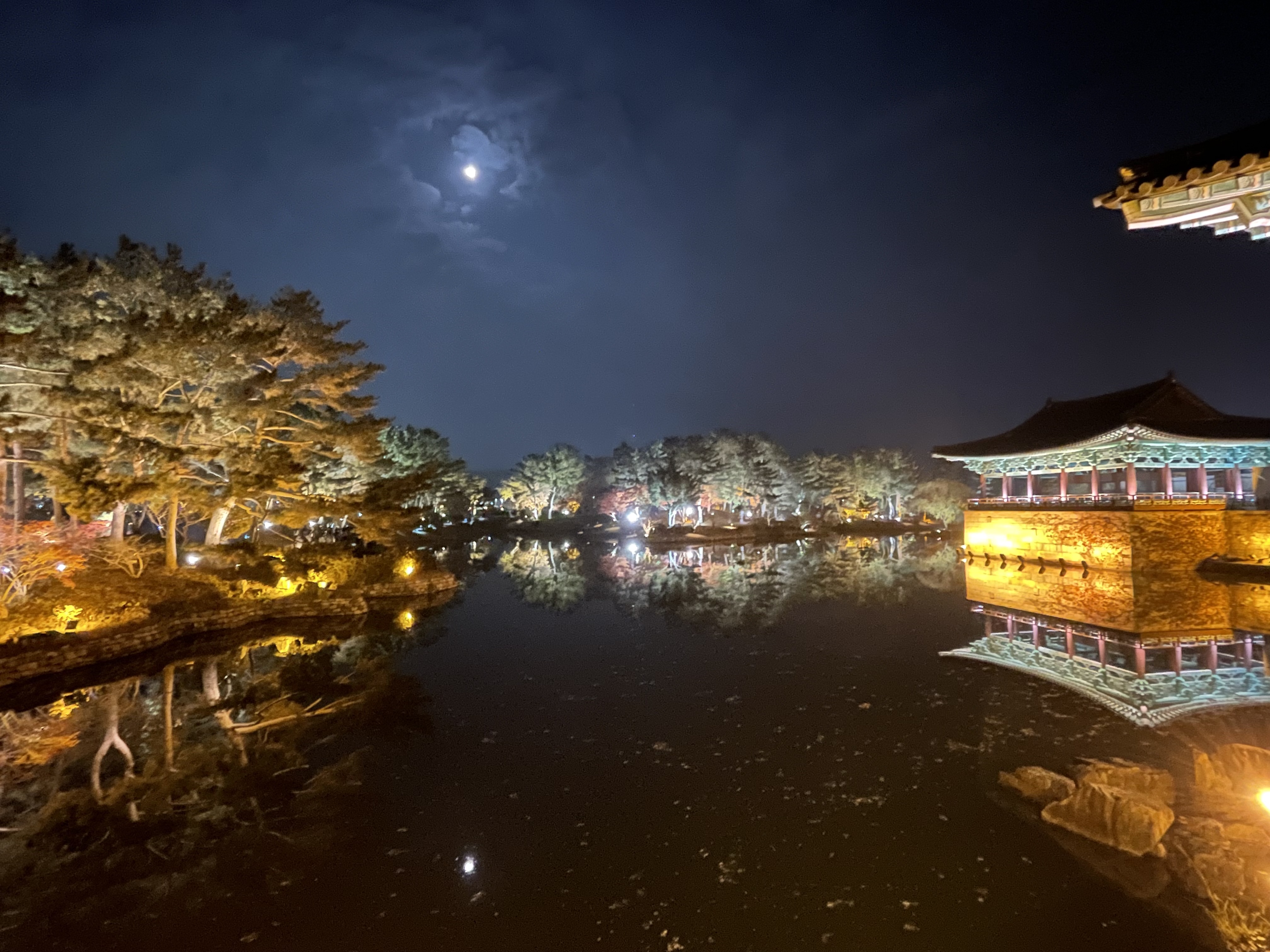  [동궁과월지] 경주 여행 동궁과 월지(구 안압지) 야경 명소