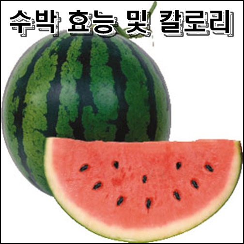  수박 효능 및 칼로리