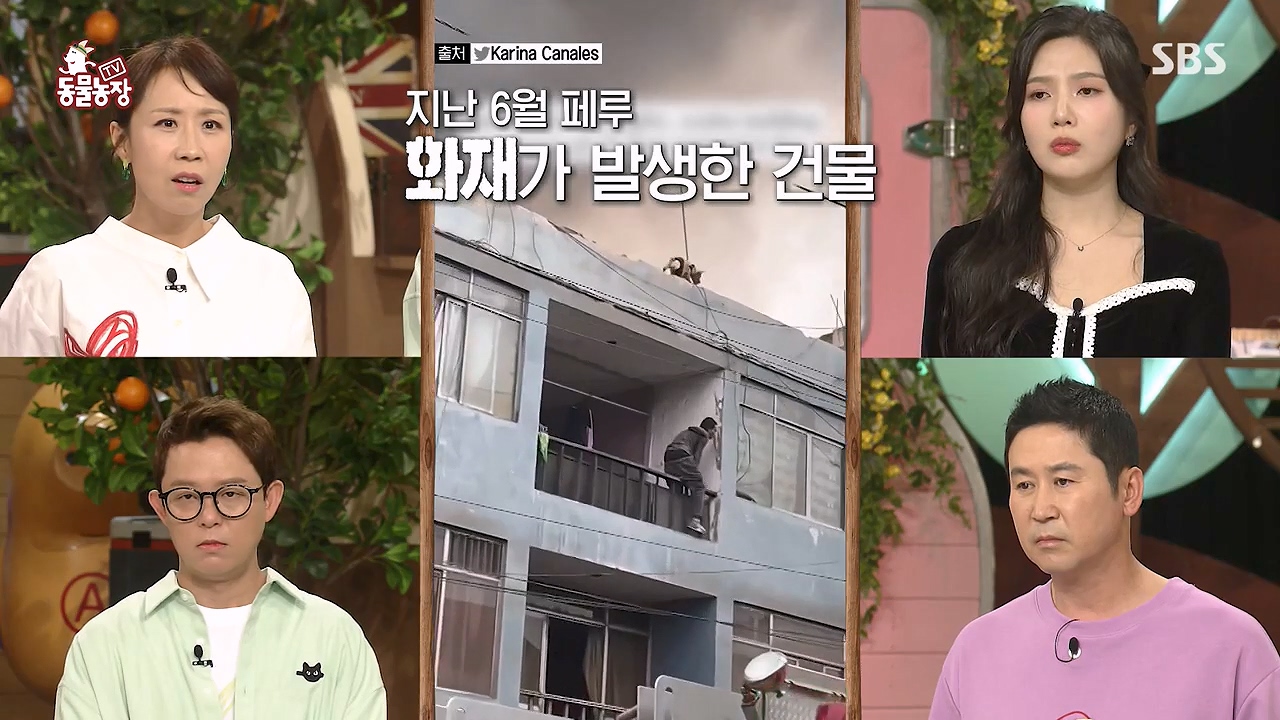 TV 동물농장.E1138.230918p-NEXT.mp4_20230917_174221.092.jpg