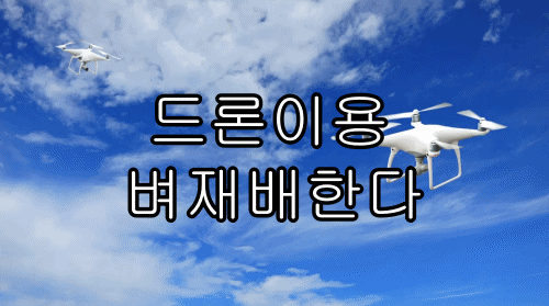  드론이용 벼재배한다