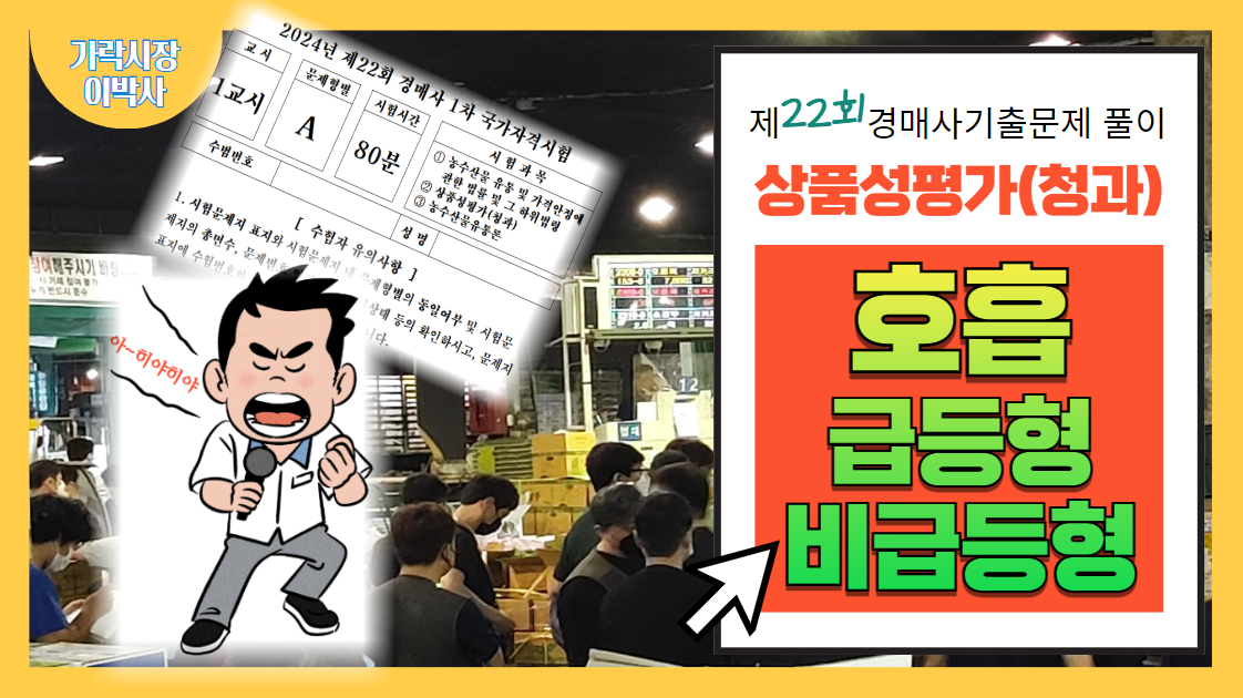  [제22회 경매사 기출문제풀이-청과부류 상품성평가(31)] 너 호흡이 빠르니? 아니면 느리니?
