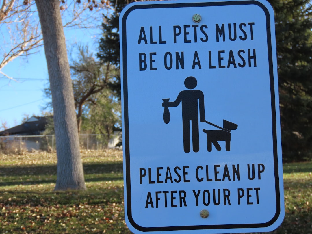 Pet-friendly