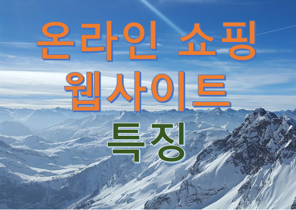  온라인 쇼핑 웹 사이트 특징