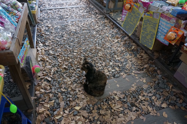 군산엄마들이 2020_엄마 아빠랑 20