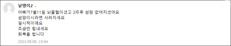 섬망 보호자 후기