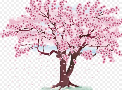 2025 대구 이월드 야간 벚꽃축제