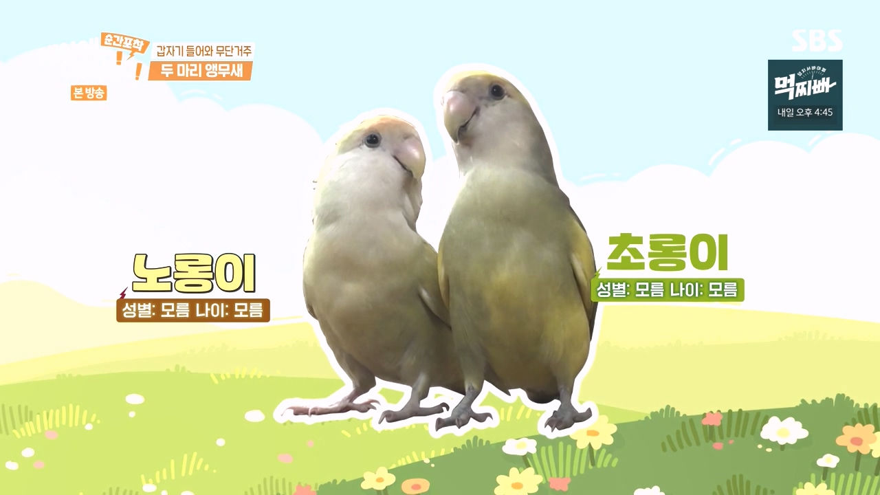 순간포착 세상에 이런일이.E1248.231015p-NEXT.mp4_20231015_161730.992.jpg