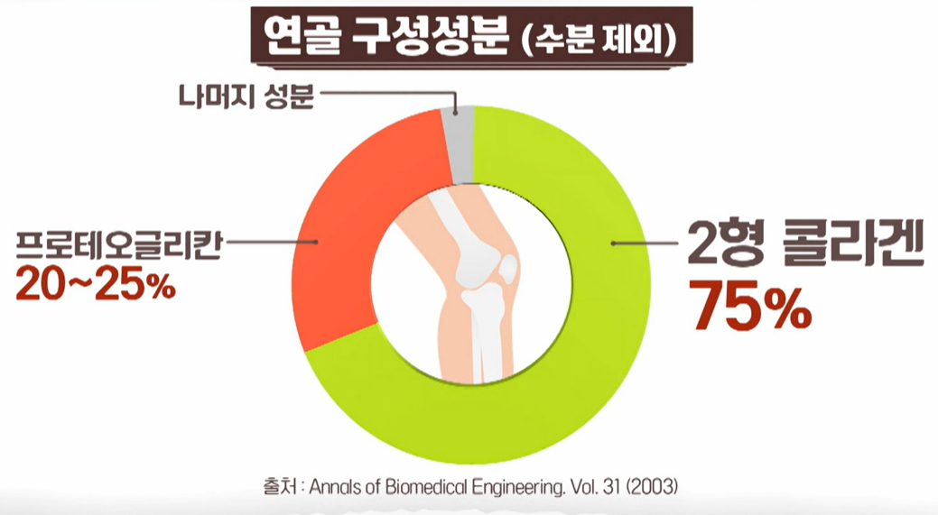 프로테오글리칸