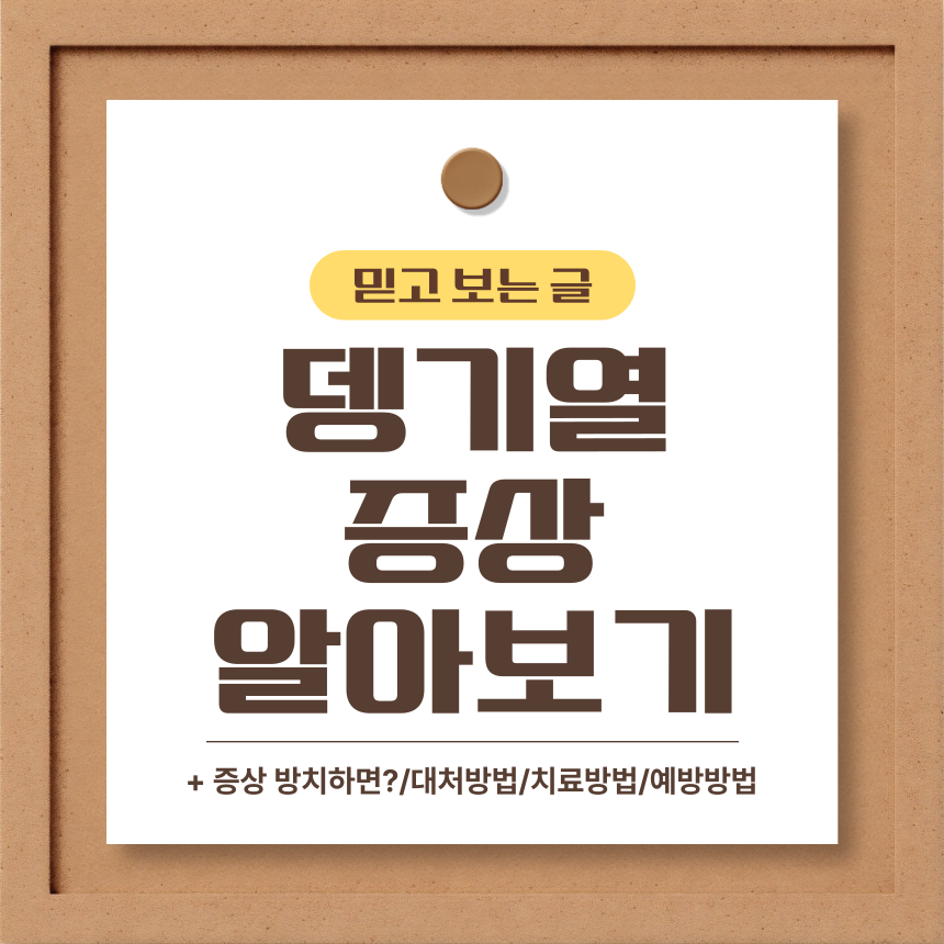  뎅기열 증상 알아보기