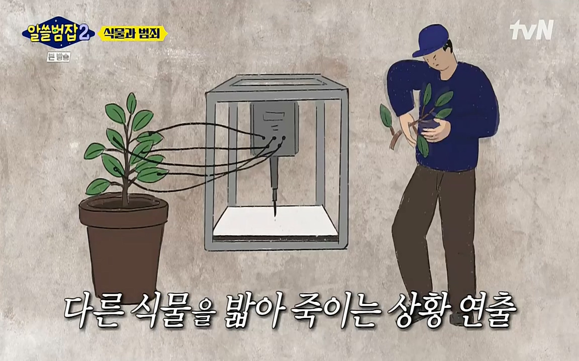 알쓸범잡 2.E15.220425p-NEXT.mp4_20220425_175032.195.jpg