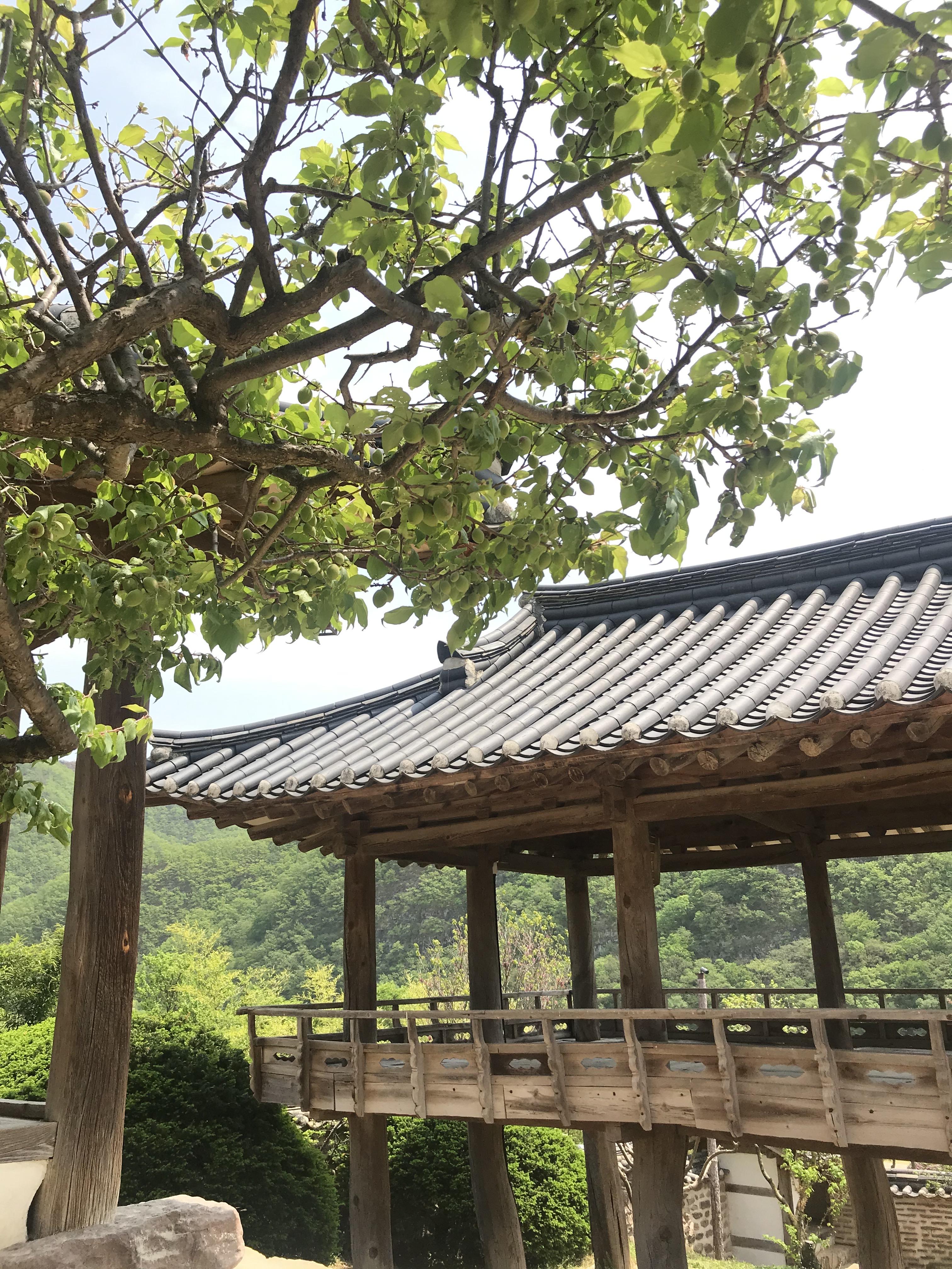 안동 병산서원 한국의 아름다운 세계문화유산