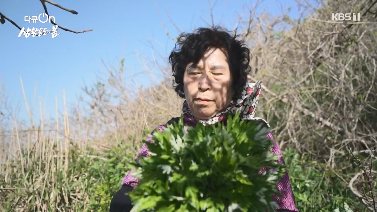 다큐 온.E249.240526p-NEXT.mp4_20240526_152340.985.jpg