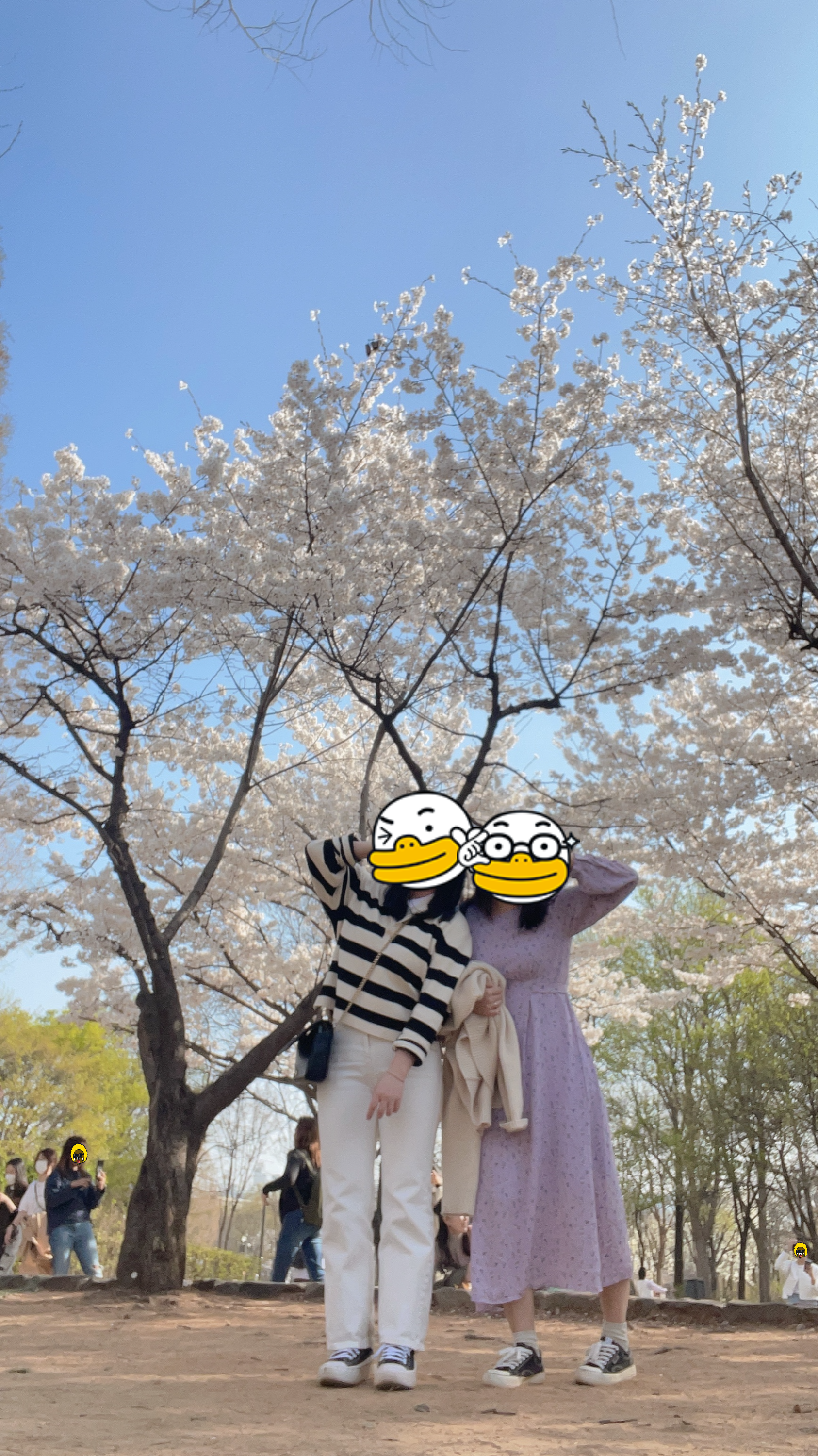 서울숲 벚꽃 03