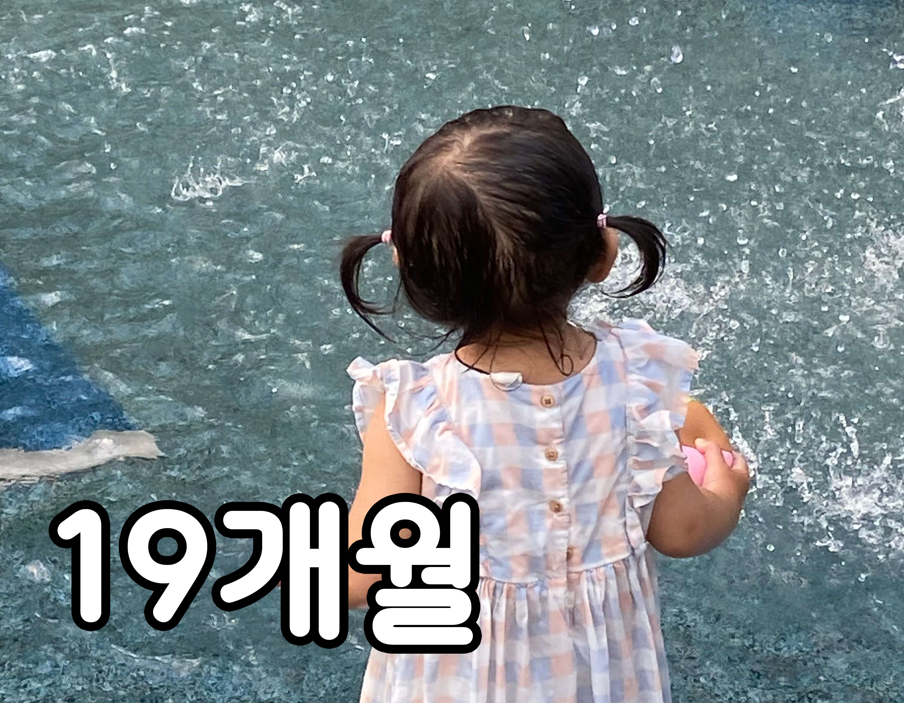 19개월 아기의 모습