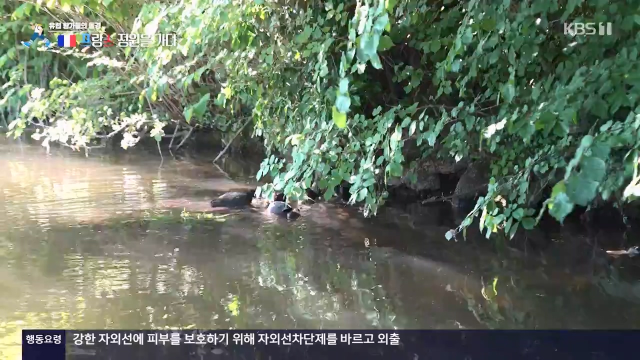 걸어서 세계속으로.E804.230806p-NEXT.mp4_20230812_180541.298.jpg