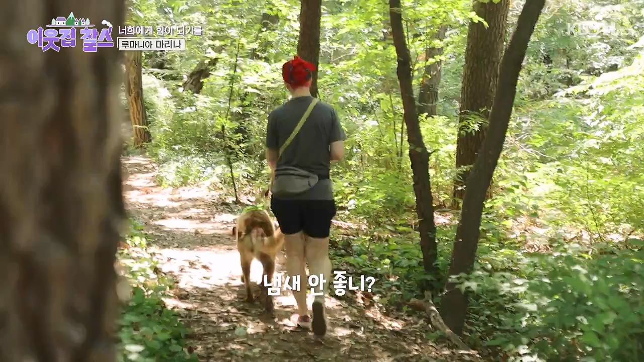 이웃집 찰스.E443.240703p-NEXT.mp4_20240703_200914.637.jpg