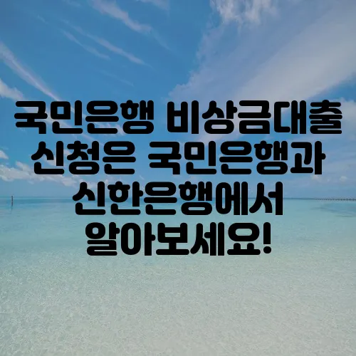 국민은행 비상금대출 신청은 국민은행과 신한은행에서 알아보세요!