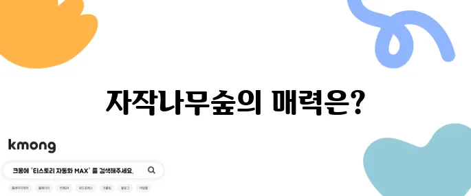 용인에서 꼭 가봐야 할 자작나무숲과 베툴라 카페를 소개합니다!