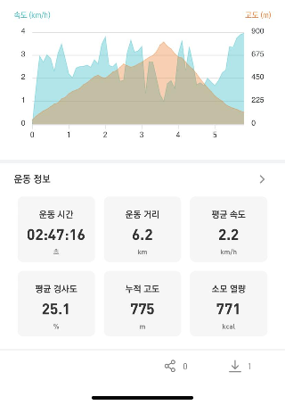 트랭글-기록